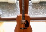 Sigma DME semi acoustic