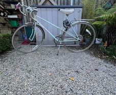 Raleigh Panache