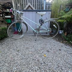 Raleigh Panache