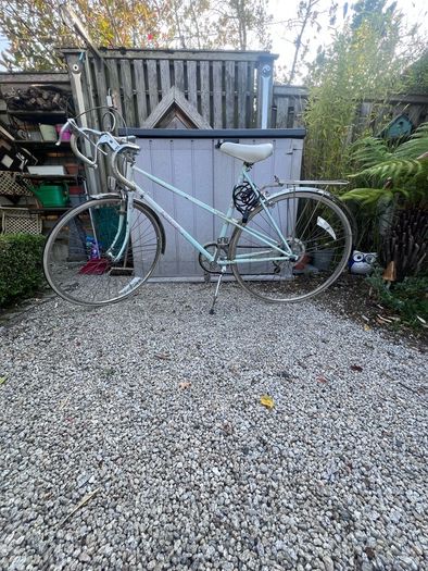 Raleigh Panache