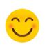 smiley94