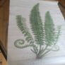 Canvas & Wood Holly Fern Print Image 3