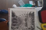 Vinyl.Eliza And The Bear.