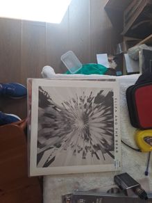 Vinyl.Eliza And The Bear.