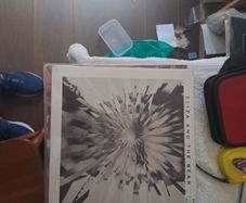 Vinyl.Eliza And The Bear.