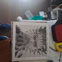 Vinyl.Eliza And The Bear.