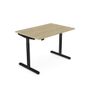 RoundE Electric Hight Adjustable Desk 1200 x 700 Image 7