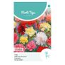 (C) Carnation Dianthus seeds Grenadin 0.5g (508007) Image 2