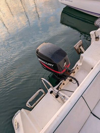 Sport/fishing boat - 60hp outboard
