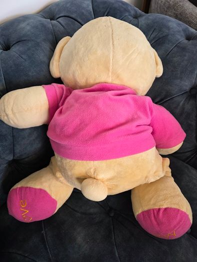 Big teddy