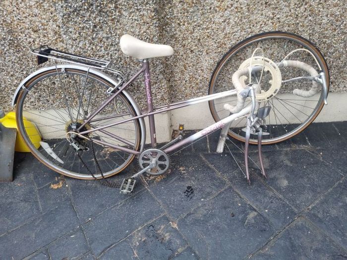 bike old raleigh