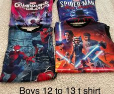 Boys 12 to 13 t shirt bundle