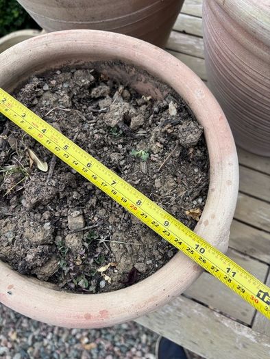 Set of 3 terracotta pots
