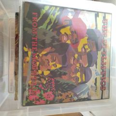 vinyl