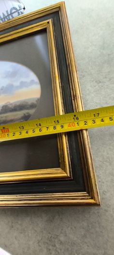 VINTAGE Framed landscape print featuring an oval matte aperture with a golden sunset or sunrise over a river, bare trees, and two birds flying in the sky.