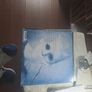 vinyl.white empress. Image 4