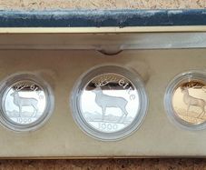 Ireland 50 ECU Gold (.917) with 10 ECU & 5 ECU Silver (.925) Proof Coins 1990 - EEC Council Meeting in Dublin