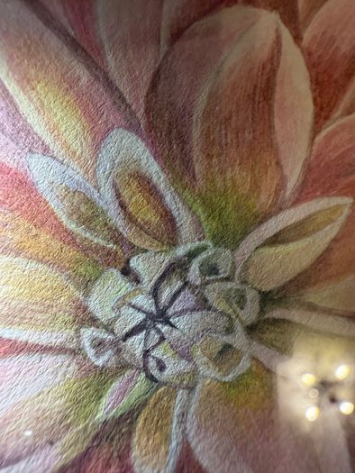 Original Elizabeth A McEwen RUA - Botanical Artwork - Dahlia - 1985