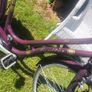 Ladies Bicycle Image 3