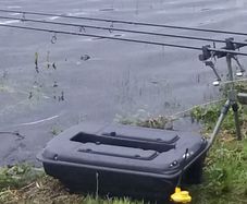 Fishing