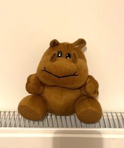 Hippo