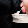 Large Mother and Baby Gorilla Chimpanzee Plush Soft Toy Set Image 3