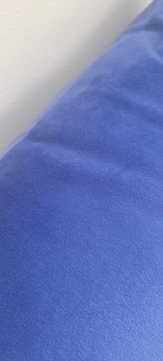 Pair of blue velvet cushions