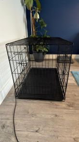 dog cage