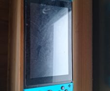 Nintendo