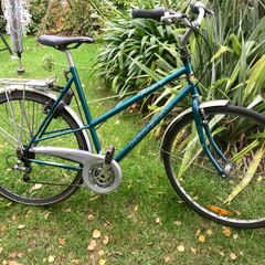 Raleigh Hybrid Bike