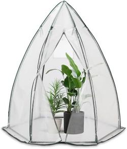 Dome Greenhouse