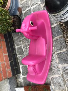 Smith's pink sea saw