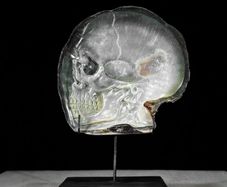 Hand Carved Mother of Pearl Shell - Human Skull