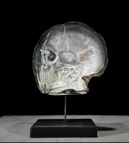 Hand Carved Mother of Pearl Shell - Human Skull
