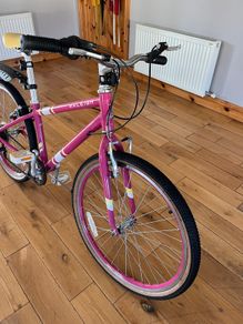 Kids Raleigh Pop 20 Inch
