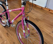 Kids Raleigh Pop 20 Inch