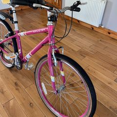 Kids Raleigh Pop 20 Inch