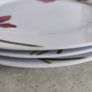 Rayware Alpine Poppy Teapot plus 5 Aynsley dessert plates and 3 dinner plates BREEZE everyday use. Image 10