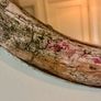 Distressed oval mirror Image 5