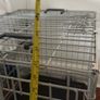 dog gate Image 4