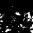 FreeSunshineAcid
