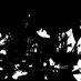 FreeSunshineAcid