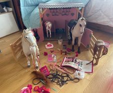 our generation stables 2 hoses and 1 foal