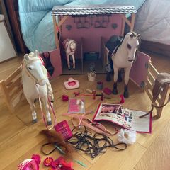 our generation stables 2 hoses and 1 foal