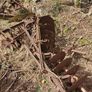 old farm machinery Image 4