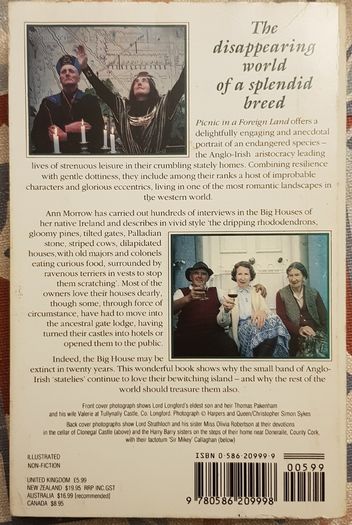 Picnic In A Foreign Land: The Eccentric Lives Of The Anglo-Irish by Ann Morrow