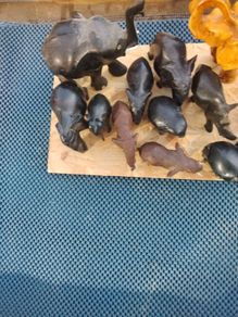 Collectable elephants
