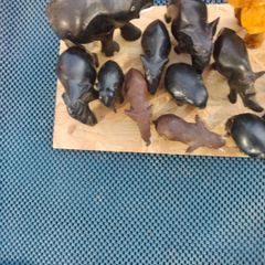 Collectable elephants