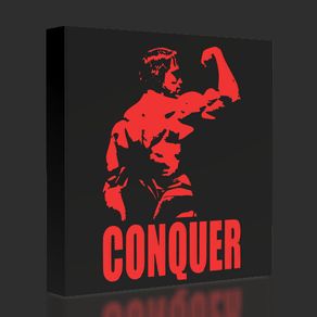 Arnie Conquer Lightbox