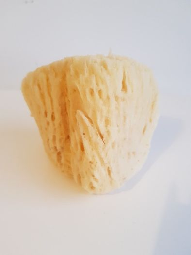Natural Sponge